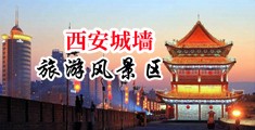 超骚美女骚逼被操中国陕西-西安城墙旅游风景区